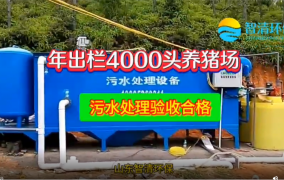 年出栏4000头养猪场污水设